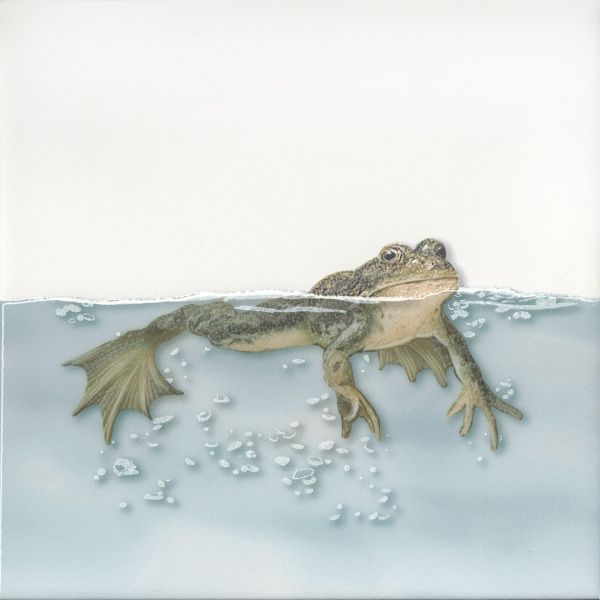 Декор Чудо-озеро 5 20х20