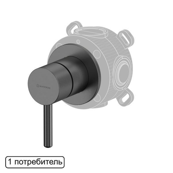 Смеситель скрытого монтажа на 1 потребитель WHITECROSS Y Y1241GM (оружейная сталь)