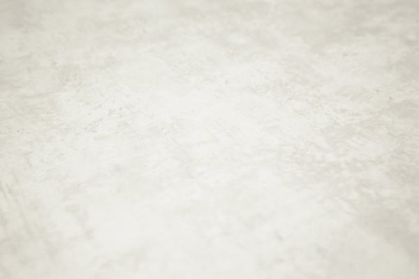 Обои виниловые Трофи база, белый