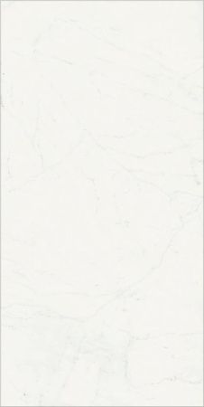 Керамогранит Шарм Делюкс Бьянко Микеланжело 80х160 рет